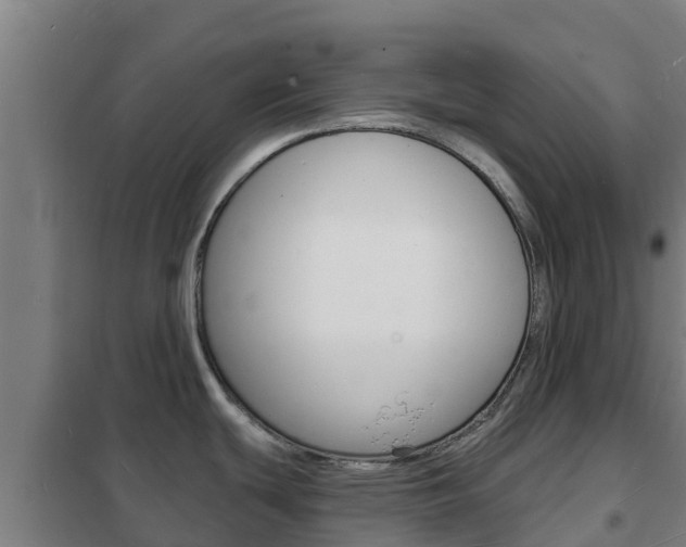 X0000102231439200807250758