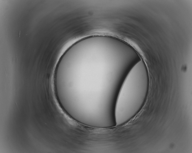 X0000102231440200807250758