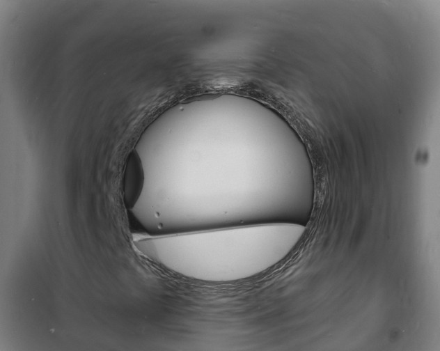 X0000102231441200807250758