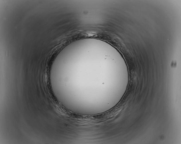 X0000102231442200807250758