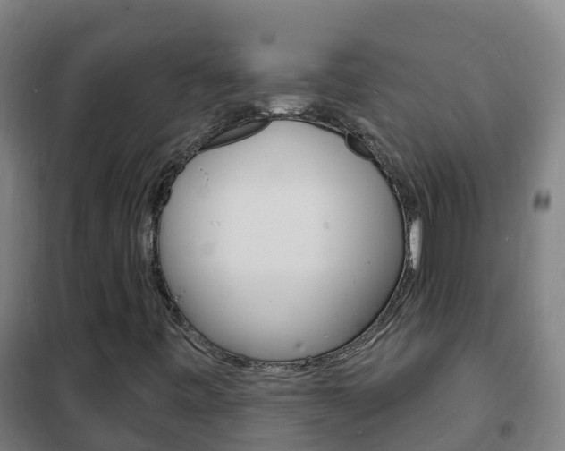 X0000102231443200807250758