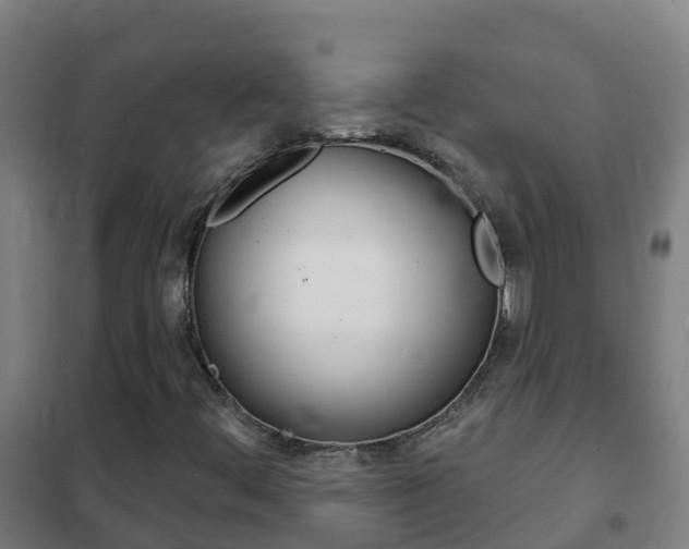 X0000102231444200807250758