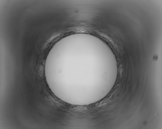 X0000102231446200807250758