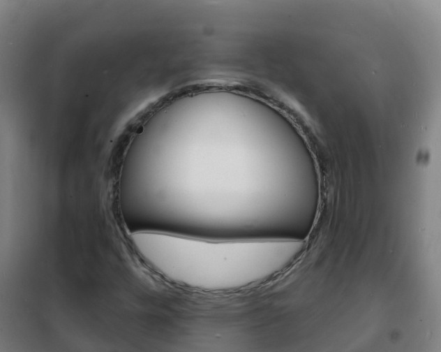X0000102231448200807250757