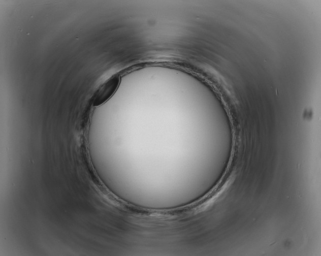 X0000102231449200807250757