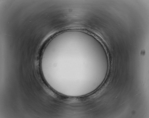 X0000102231450200807250757