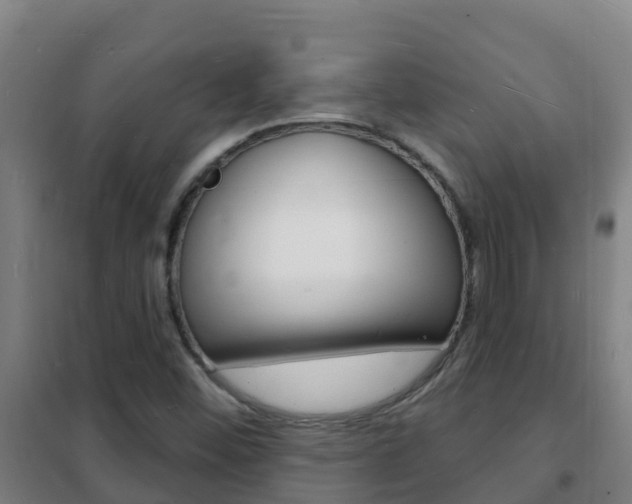 X0000102231452200807250757