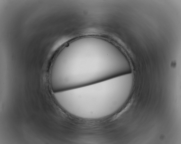 X0000102231453200807250757