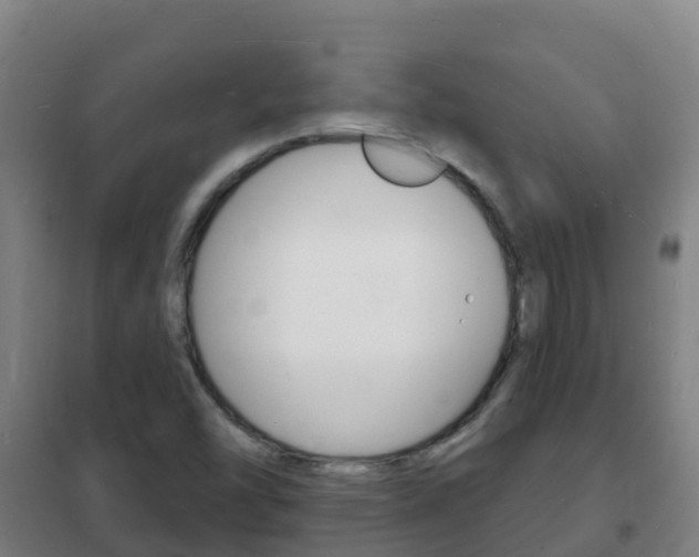 X0000102231454200807250757