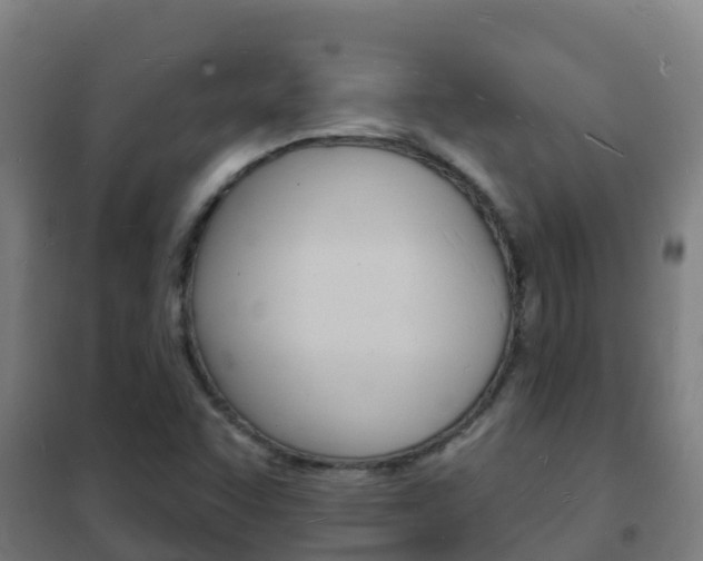 X0000102231455200807250757
