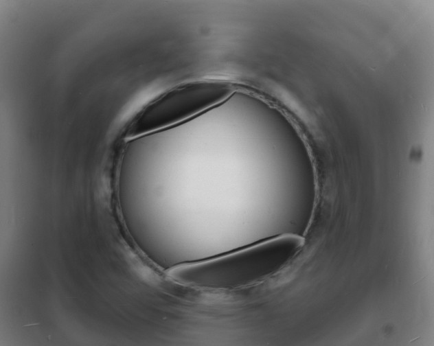 X0000102231456200807250757
