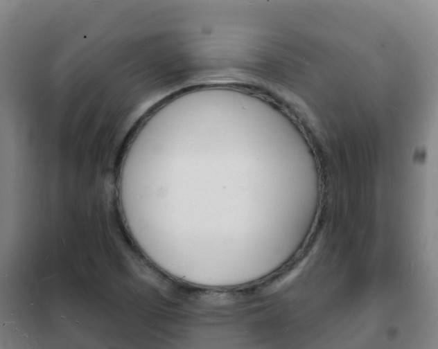 X0000102231457200807250757