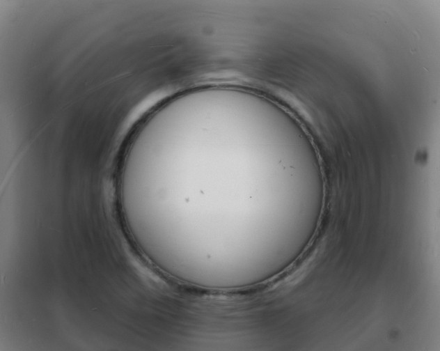 X0000102231458200807250757
