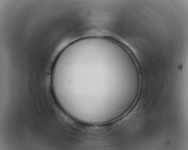 X0000102231459200807250757