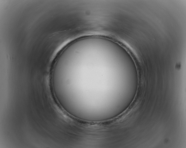 X0000102231460200807250757