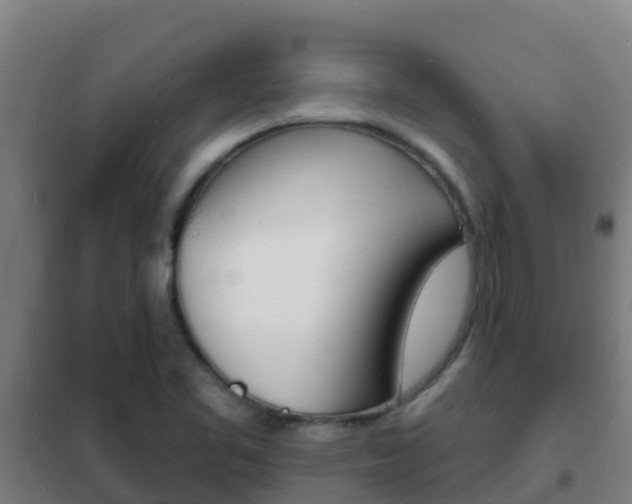 X0000102231461200807250757