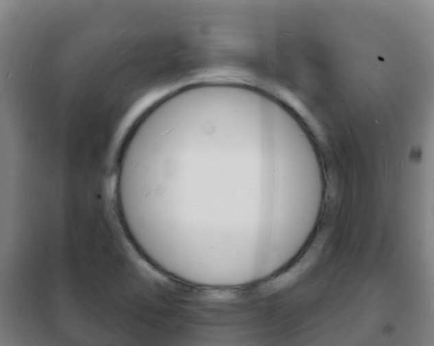 X0000102231462200807250757