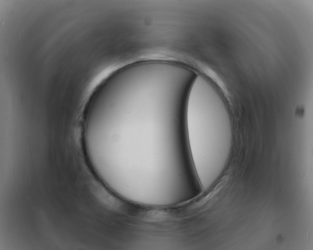 X0000102231463200807250757