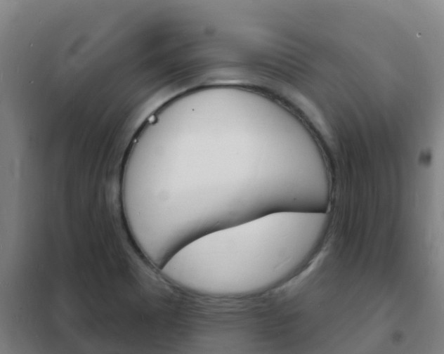 X0000102231465200807250757