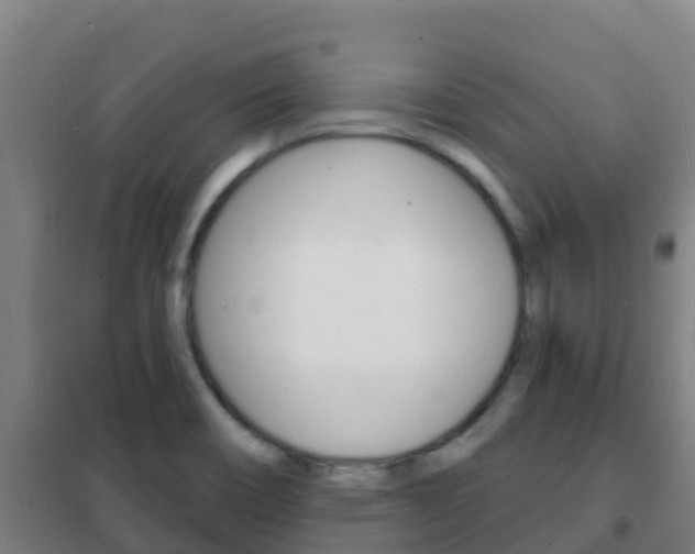 X0000102231466200807250757
