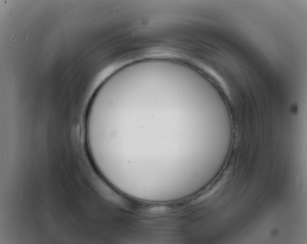 X0000102231467200807250757