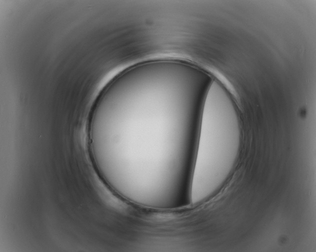 X0000102231468200807250757