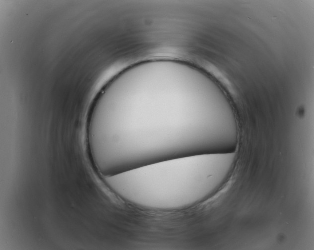 X0000102231469200807250757