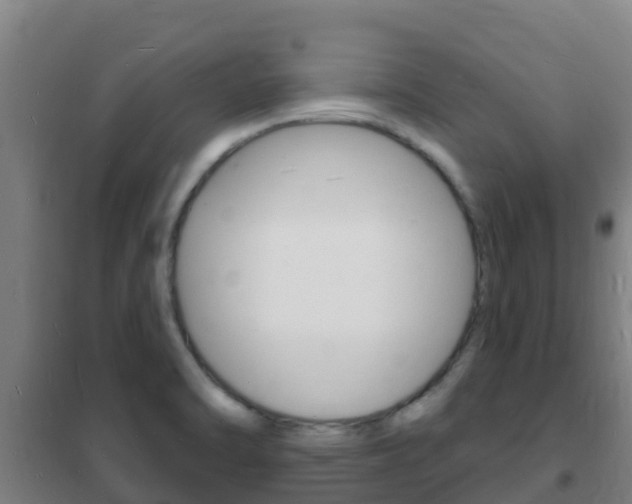 X0000102231470200807250757