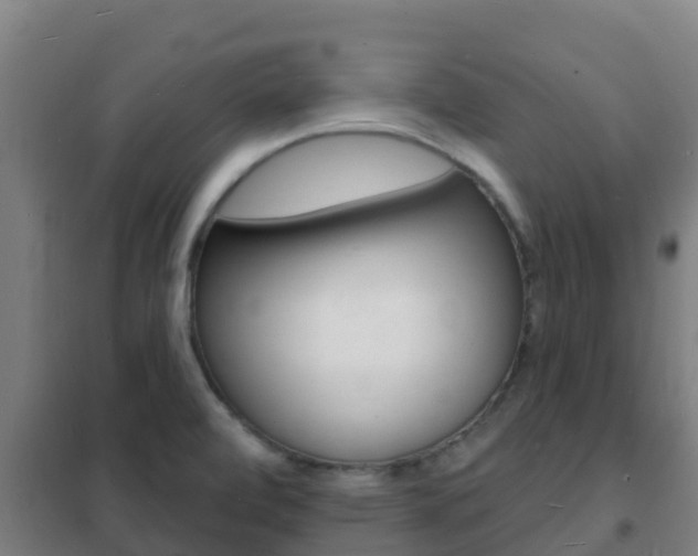 X0000102231472200807250757