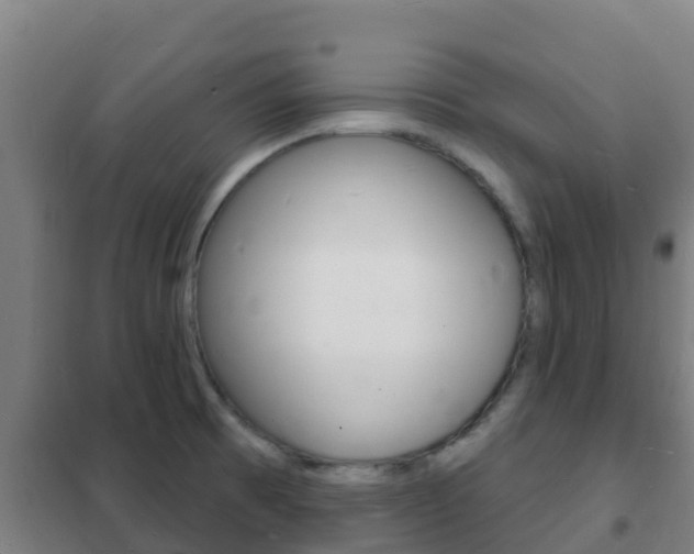 X0000102231473200807250757