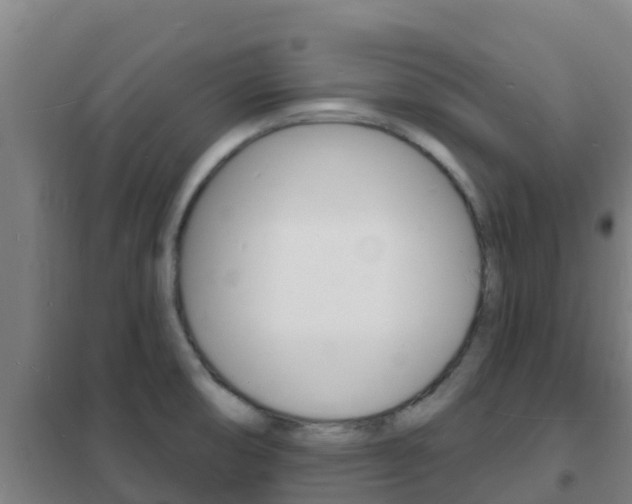 X0000102231474200807250757