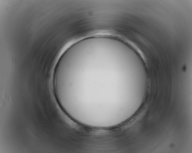 X0000102231475200807250757