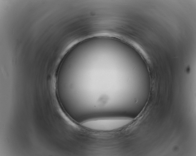 X0000102231476200807250757