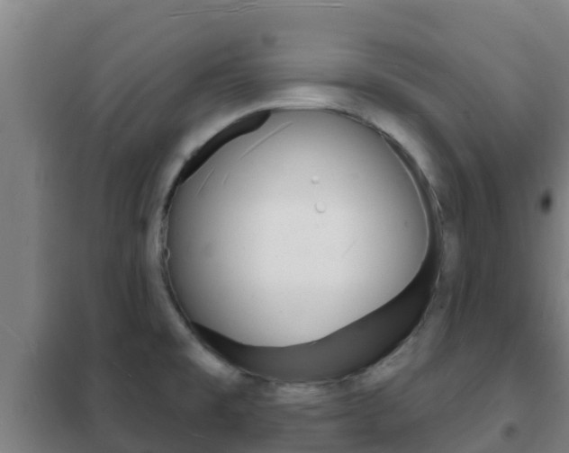 X0000102231477200807250757