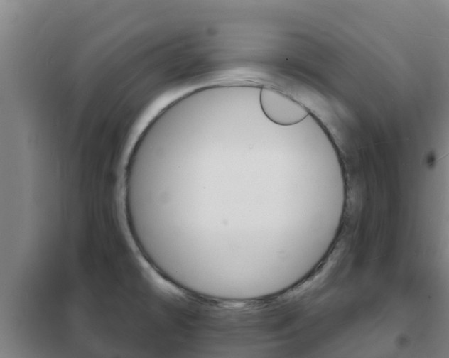 X0000102231478200807250757