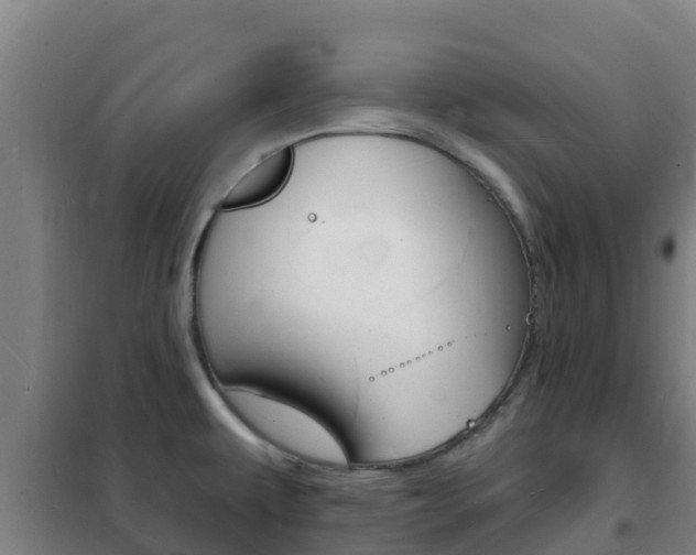 X0000102231479200807250757