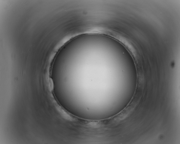 X0000102231480200807250757