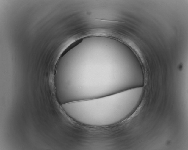 X0000102231481200807250757