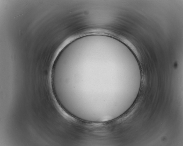 X0000102231482200807250757