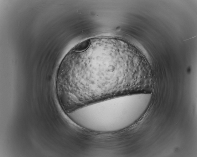 X0000102231483200807250757