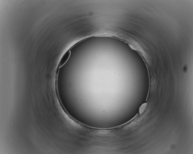 X0000102231484200807250757