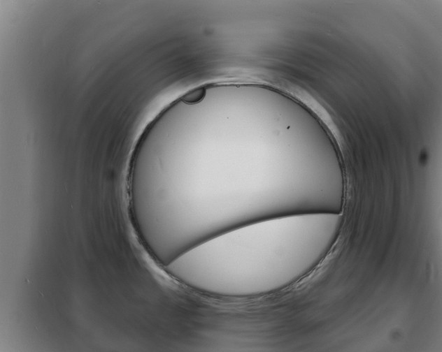 X0000102231485200807250757
