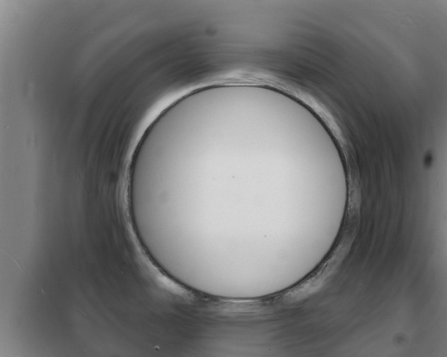 X0000102231486200807250757