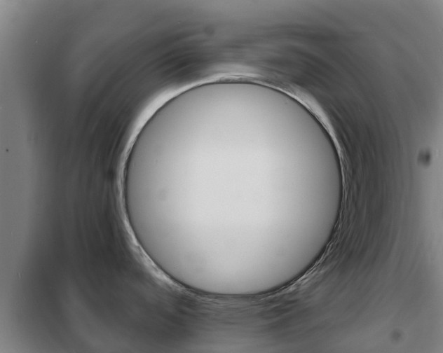X0000102231488200807250757