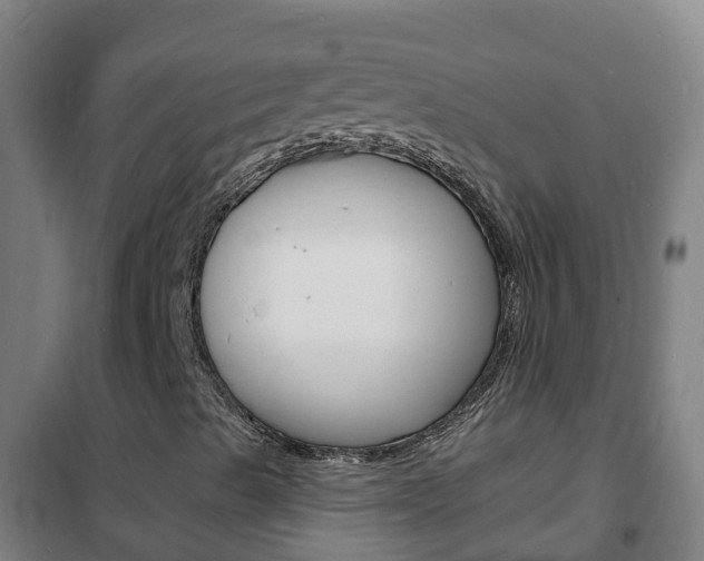 X0000102231489200807250756