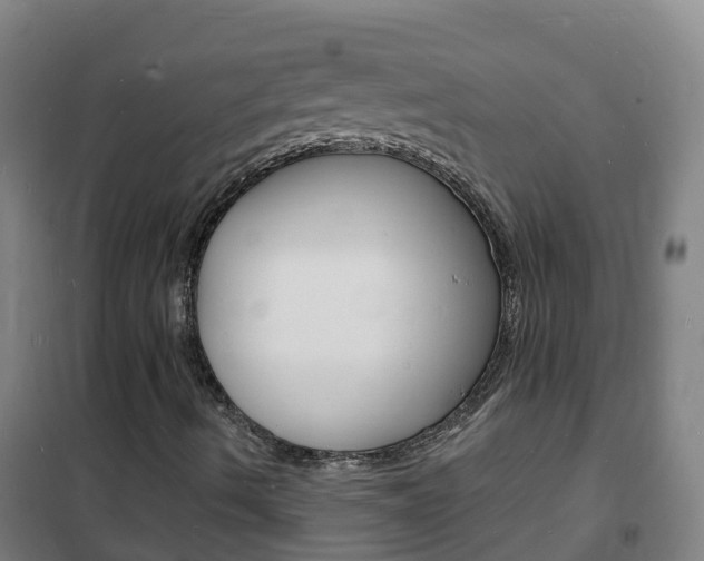 X0000102231490200807250756