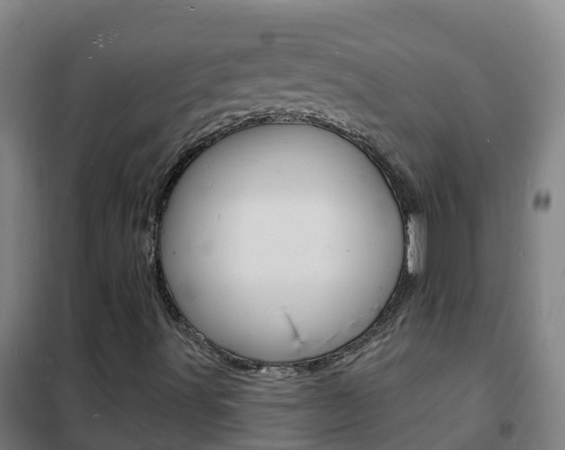 X0000102231491200807250756