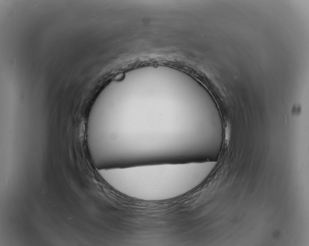 X0000102231492200807250756