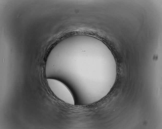 X0000102231493200807250756