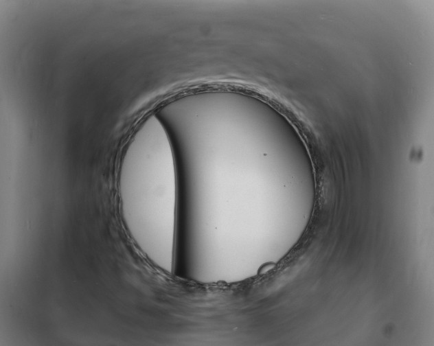 X0000102231494200807250756